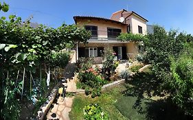 Apartment Ema